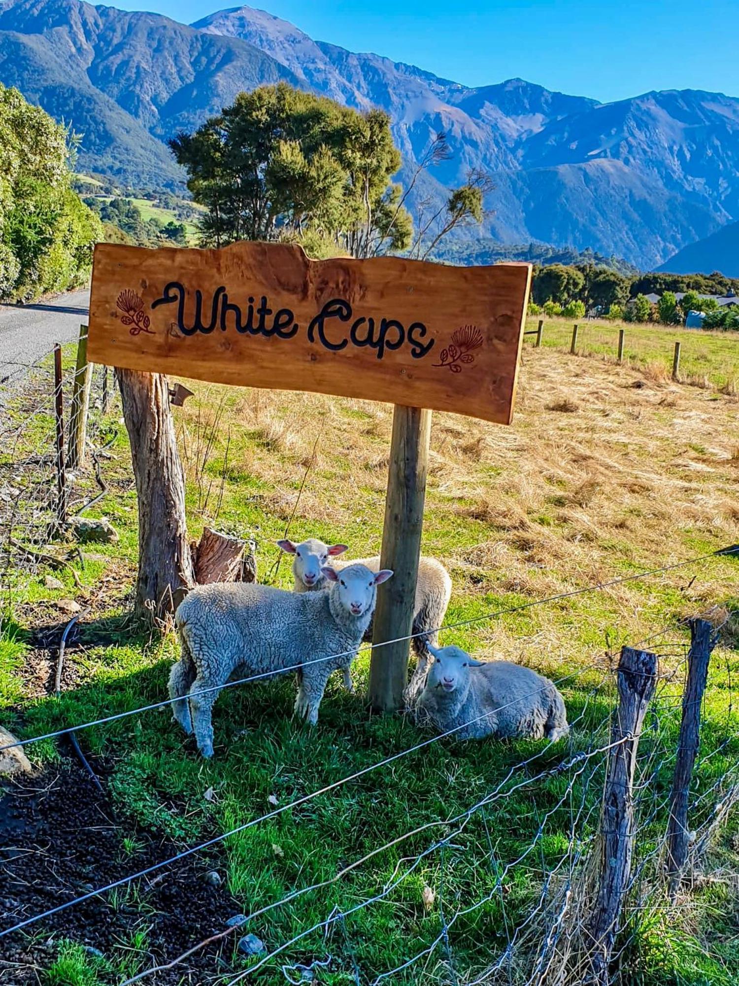 White Caps Farm stay Kaikoura